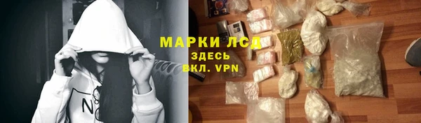 трава Бородино