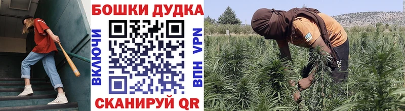 Купить закладки  Волоколамск  Марихуана тримм 
